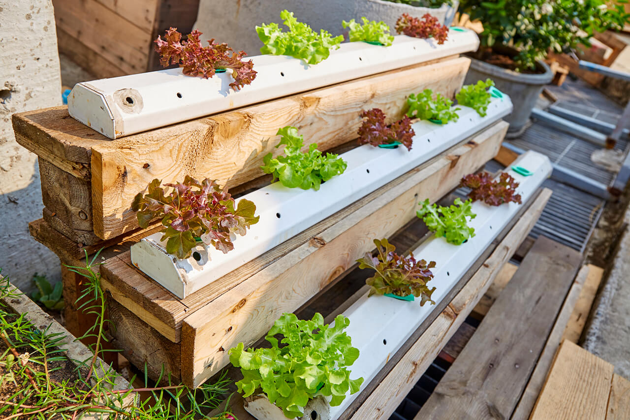 Three-tiered home hydroponic garden
